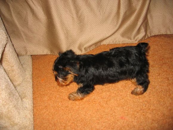 Picture 014.jpg