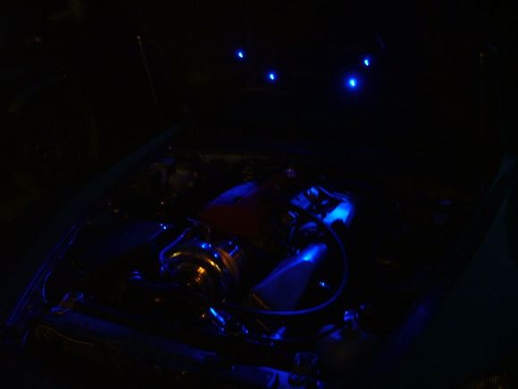 wanker lights 018.jpg