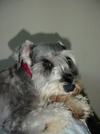 Picture 257.jpg