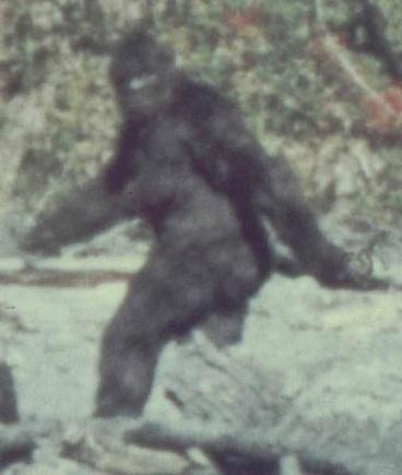bigfoot1.JPG