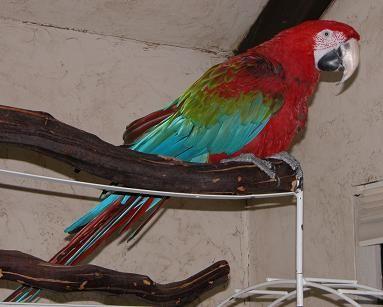 051103 Ms. Bird 4251.JPG