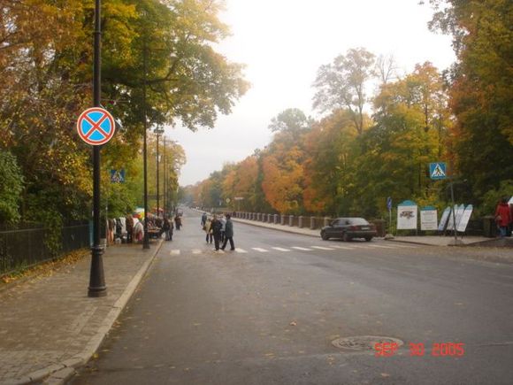 DSC05130.JPG