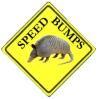speedbump.jpg