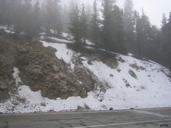 4-23-06 angeles crest 014.jpg