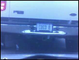 Coco.jpg