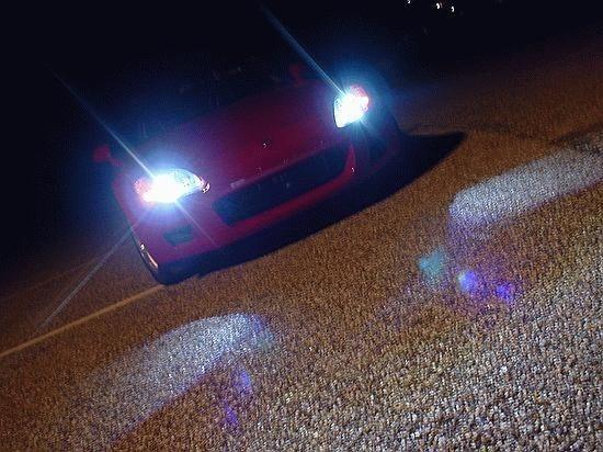 hids at night