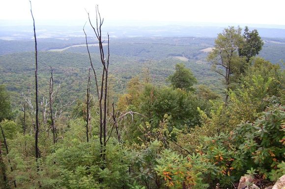 100_0287.jpg