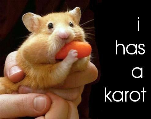 2719_image.jpg