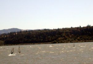 WIND SURFERS 1.jpg