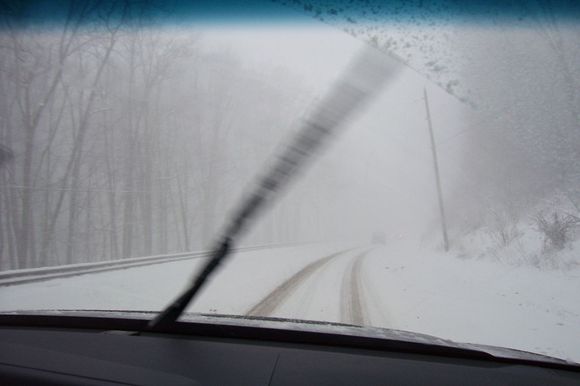 100_0381.JPG