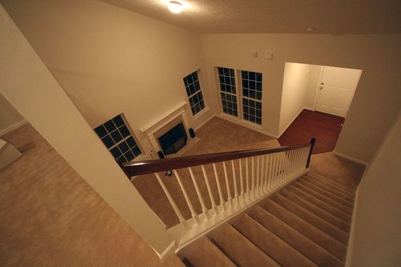 lookingdown.jpg
