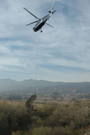 DSC_0612.JPG