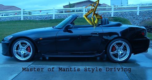 Mantis Style