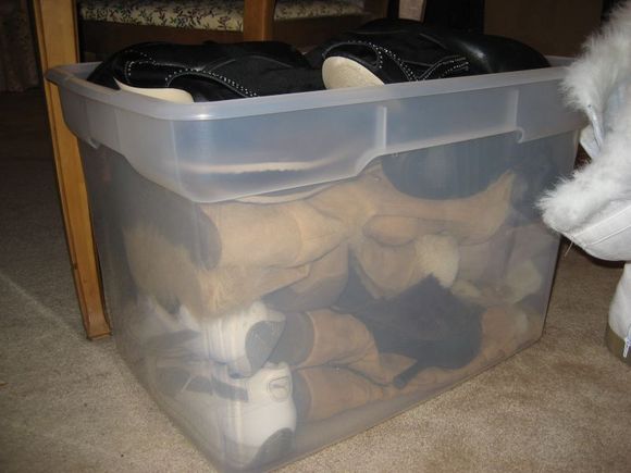 shoes 004-sm.jpg
