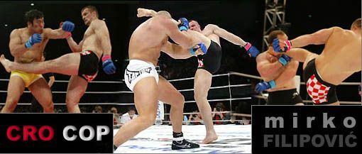 cro cop3.jpg