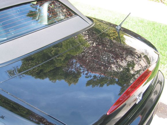 Adrienne S2000 009.jpg