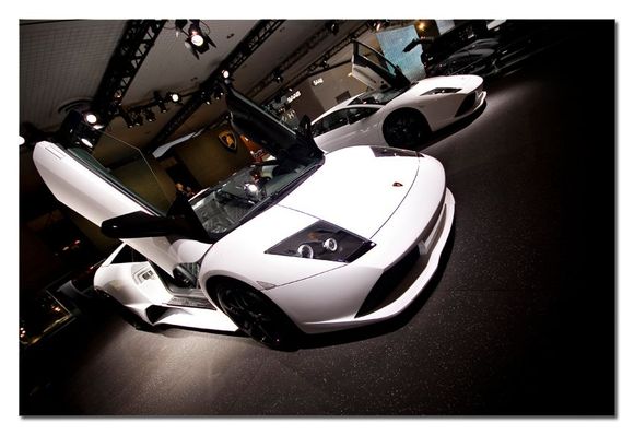 lambo4.jpg