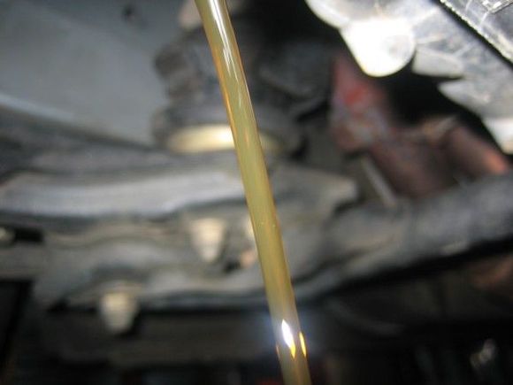 oilpan-IMG_1108.jpg
