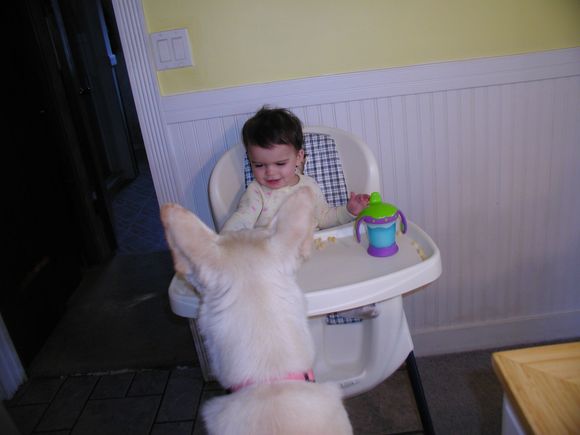 Kaida Feeding STARR!
