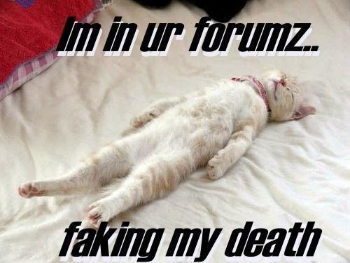 like-a-possum.jpg