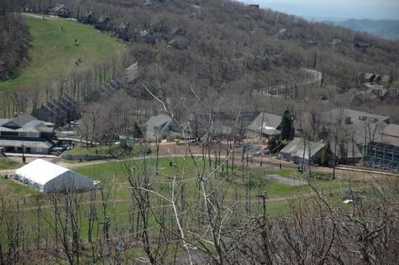 Wintergreen