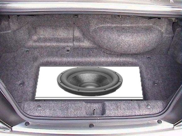subtrunk.jpg