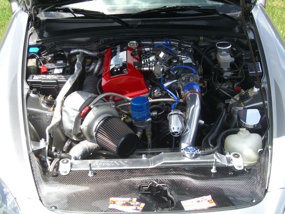 CIMG0871.JPG