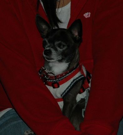 DSC_5783.JPG