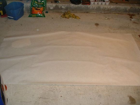 speedfilm project.JPG