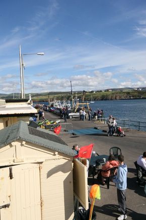 IMG_0054_1.jpg