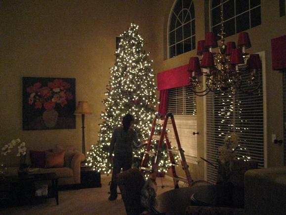 treesetup.JPG