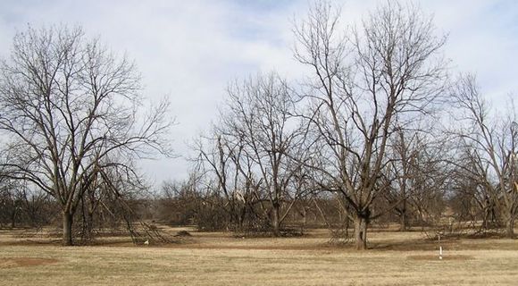 P1010025_2.jpg