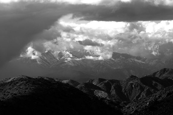 DSC_8875bw.jpg