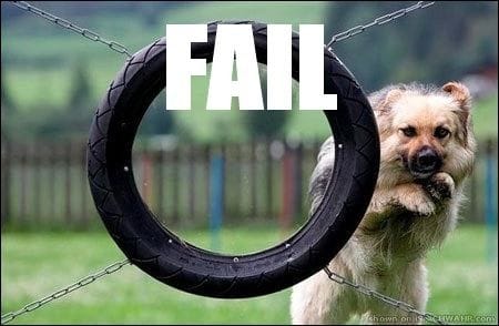 fail dog.jpg