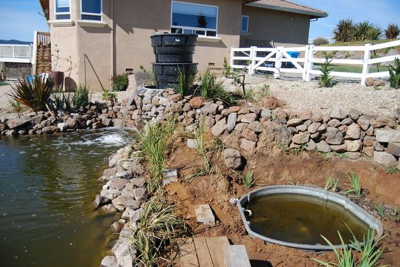 Pond Makeover 2008-03-08_9x.jpg