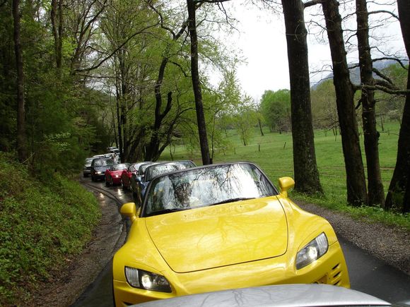 WTD 2006
