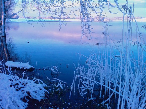 IMAGE_108.jpg
