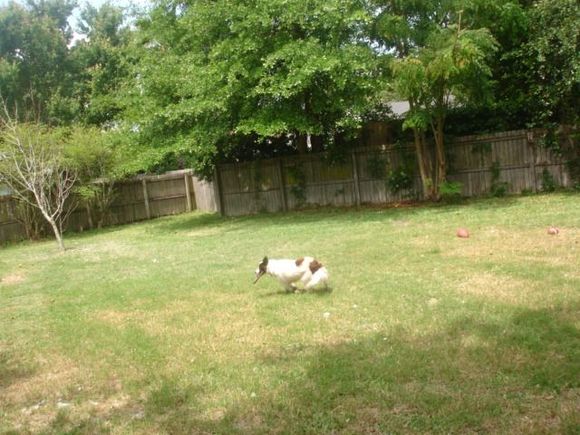 Wake the Crawfish 2008 043.JPG