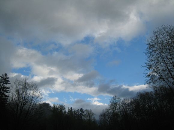 WTD 2008 124.jpg