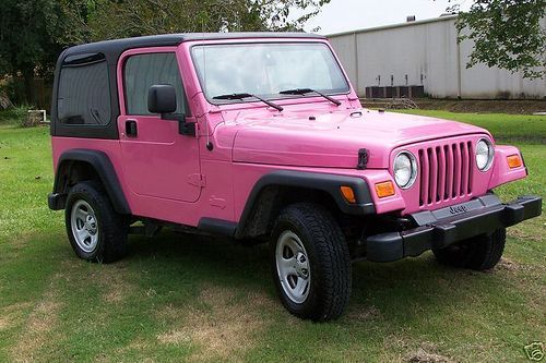 wrangler.jpg