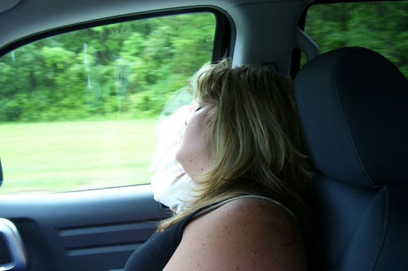100_1342.jpg