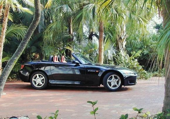 s2000tpView.jpg
