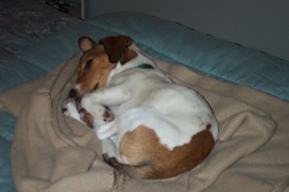Maggie 010.jpg