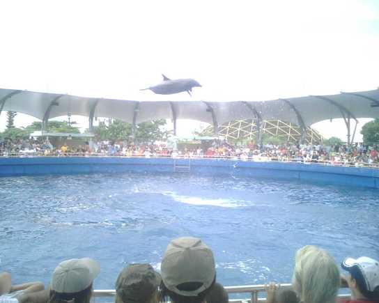IMG00072.jpg