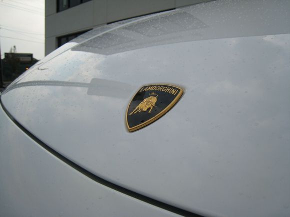 Lambo 8-16-08 043.jpg