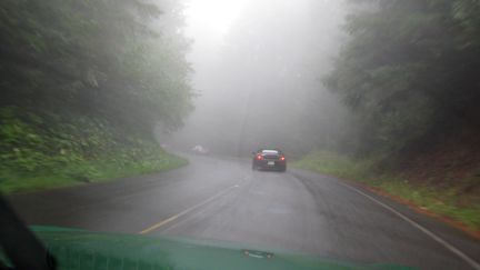 34 - foggy.jpg