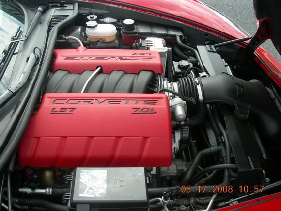 DSCN1290.JPG
