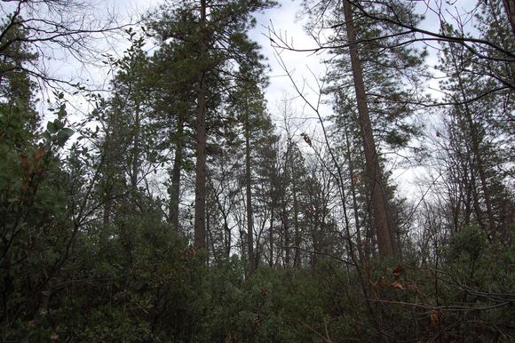 DSC_0719.JPG