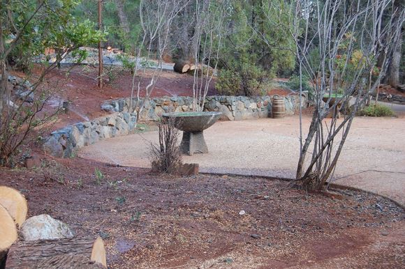 Zone 2 (lower flower / plant beds)