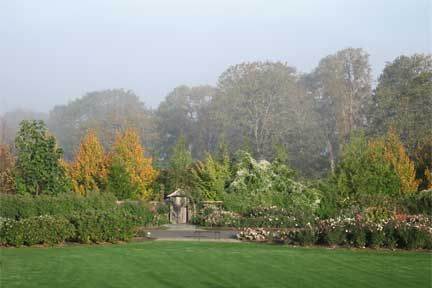 RoseGarden1.jpg